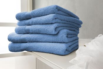 Bleu ciel - 50x100 - Lot de 2 serviettes en coton -Twentse Damask 2