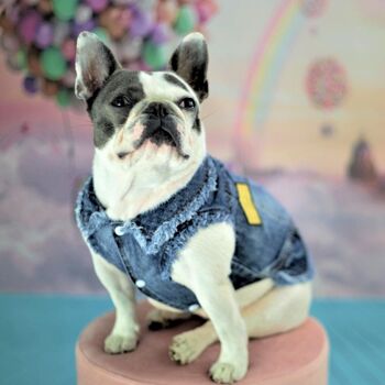 Veste pour chien RocknRolla Vintage Denim - Summer Blue 2