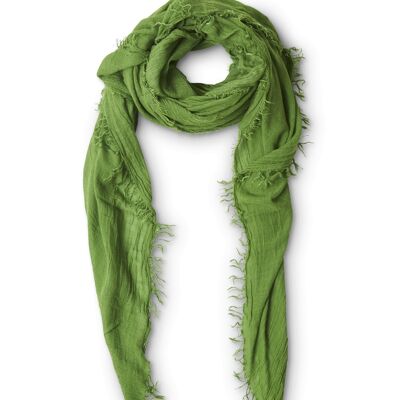 Laine St-Gervais Amazon scarf
