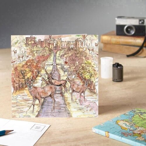 Windsor Great Park greetings card