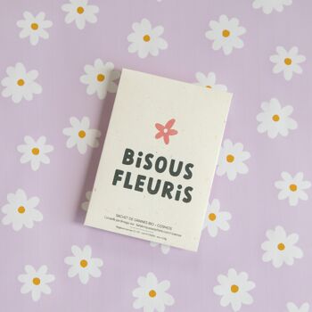 Bisous Fleuris - Sachet de graines de Cosmos 2