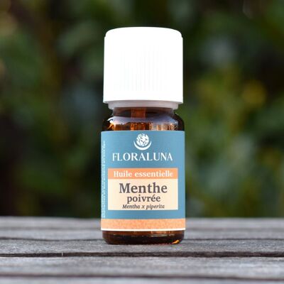 Menta - Aceite esencial orgánico - 10 mL