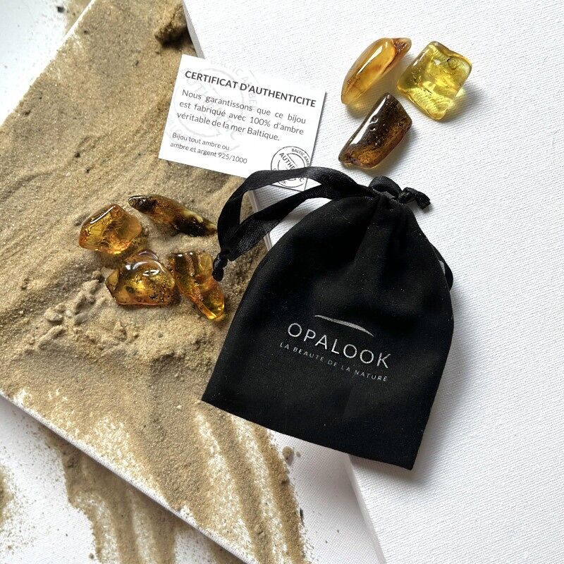 Lot Bernstein aus der Ostsee, Gewicht 20-21 gr – PIAMBRE1
