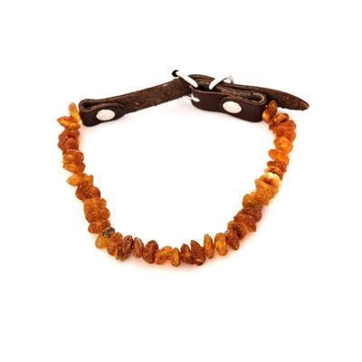 COLLIER POUR CHIEN EN AMBRE ref: NB15-3XL