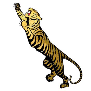 Le tatouage Royal Tiger (pack de 2) 2