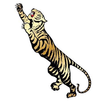 Le tatouage Royal Tiger (pack de 2) 5