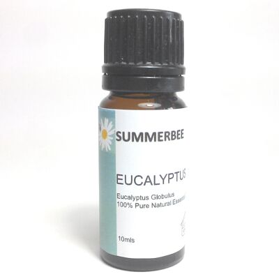 Huile d'eucalyptus 10 ml