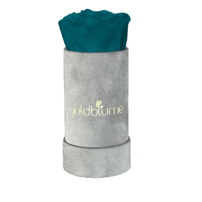 Velvet Grey Collection - Aquamarine - XS