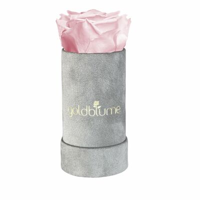 Velvet Grey Collection - Bridal Pink - XS