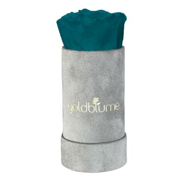 Velvet Grey Collection - Aquamarine - S