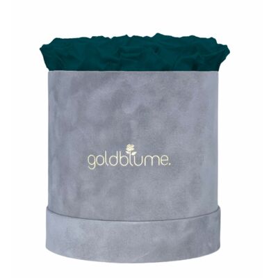 Velvet Grey Collection - Aquamarine - L