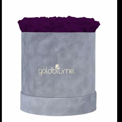 Velvet Grey Collection - Velvet Plum - L