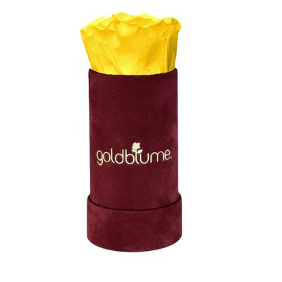 Velvet Bordeaux Collection - Sunny Yellow - XS