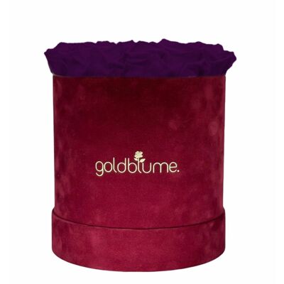 Velvet Bordeaux Collection - Velvet Plum - L