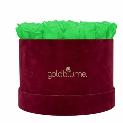 Velvet Bordeaux Collection - Green Glow - XL