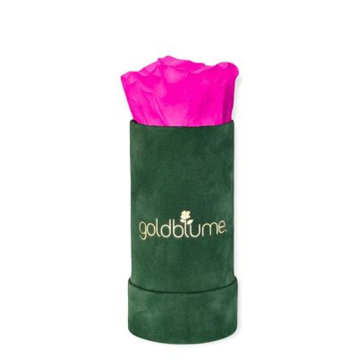 Velvet Green Collection - Hot Pink - XS