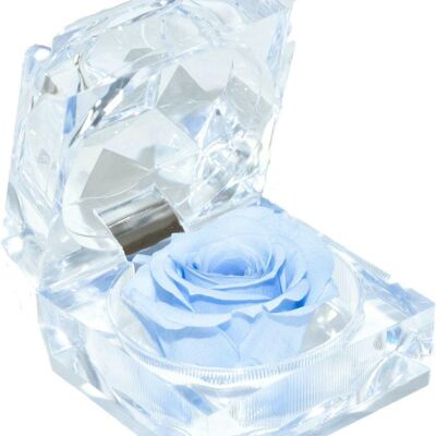 🌹 EWIGE ROSE 🌹 Konservierte duftende Juwelbox Rose - bis zu 3 Jahre haltbar - blau