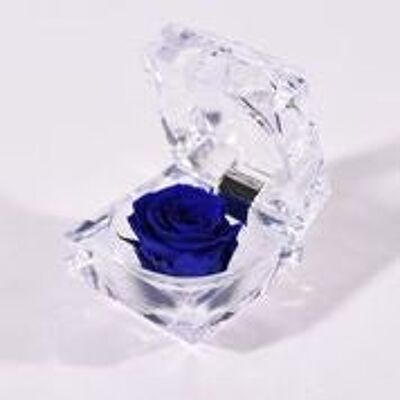 🌹 EWIGE ROSE 🌹 Konservierte duftende Juwelbox Rose - bis zu 3 Jahre haltbar - dunkel blau