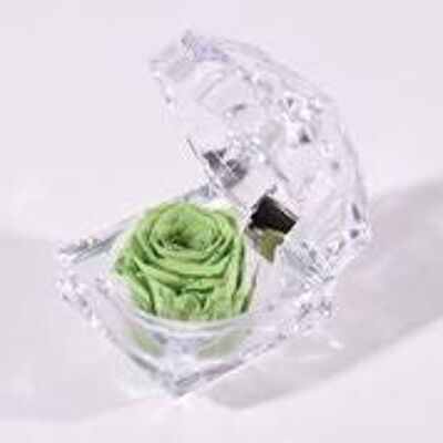 🌹 EWIGE ROSE 🌹 Konservierte duftende Juwelbox Rose - bis zu 3 Jahre haltbar - Green