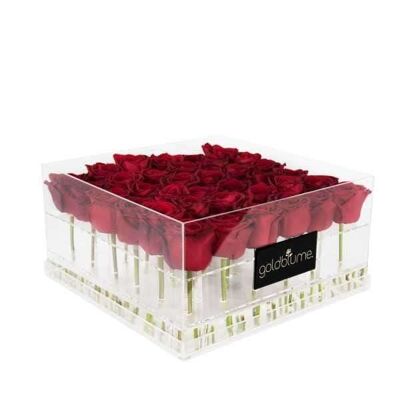 Die Luxuriöse - 36 Rosen - Vibrant Red