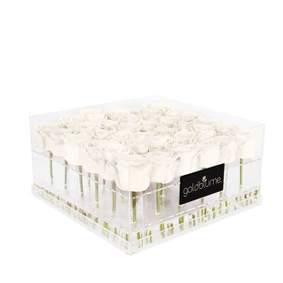 Die Luxuriöse - 36 Rosen - Pure White