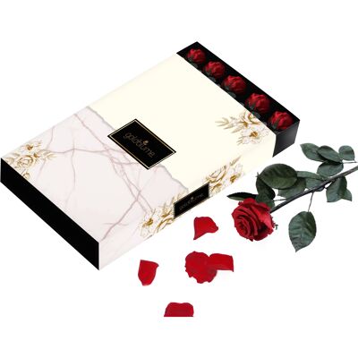 Langstieliges Rosen Set (5 Stk.) - Vibrant Red - Creme