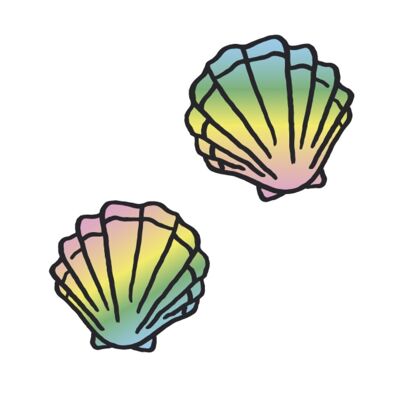 SHELLS (Pack of 2)