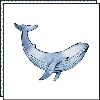 Tatouage BALEINE CONTE (Lot de 2) 2