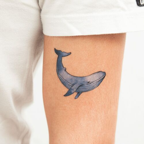 Tatuaje TALE WHALE (Pack de 2)