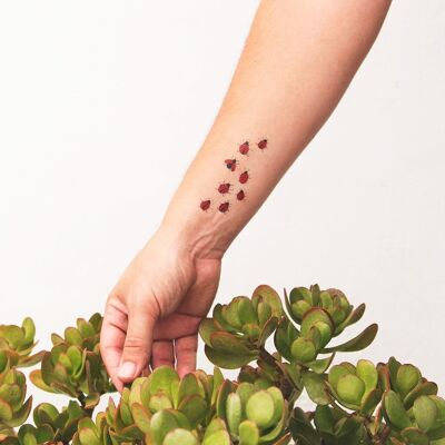 Tatuaggio SISSIES (confezione da 2)