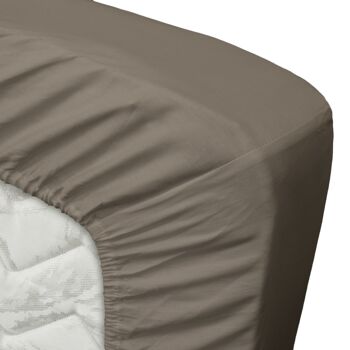 Taupe - 90x220 - Drap Housse 100% Satin de Coton - Ten Cate 2