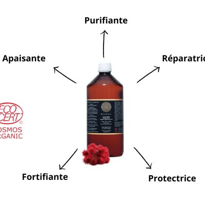 OLIO VERGINE BIOLOGICO - RICINO 1 Litro