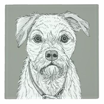 DESSOUS DE VERRE, PORTRAIT DE CHIEN BORDER TERRIER PAR ADAM REGESTER 2