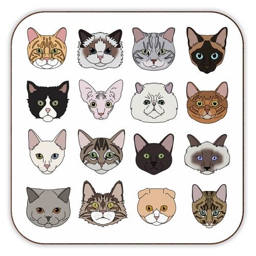 COASTERS, CATS BY KITTY & REX DESIGNS