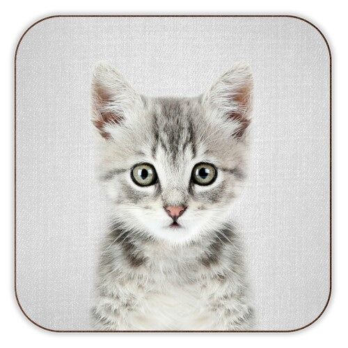 COASTERS, KITTEN - COLORFUL BY GAL DESIGN