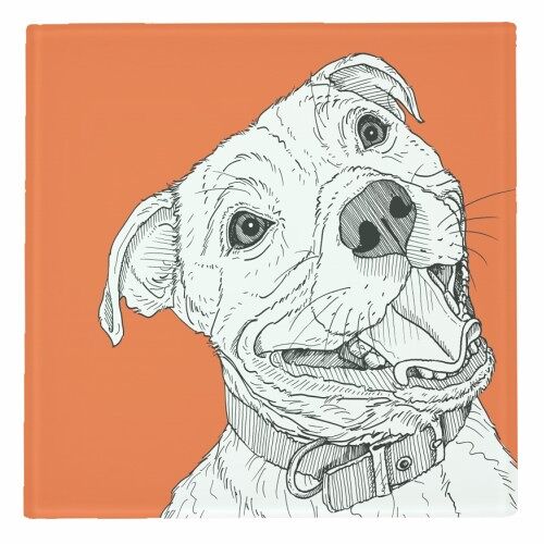 COASTERS, STAFFORDSHIRE BULL TERRIER DOG PORTRAIT