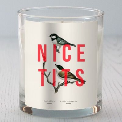 SCENTED CANDLES, NICE TITS BY THE 13 PRINTS