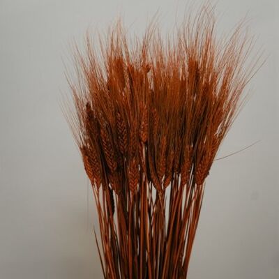 dried barley bouquet red