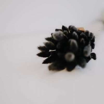dried lagurus, various colors - black