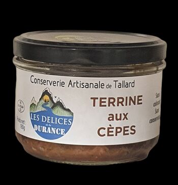 TERRINE AUX CEPES 2