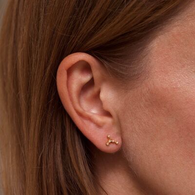 Aretes de la constelación del zodiaco de Cáncer, oro rosa