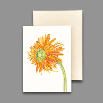 Greeting card marigold orange