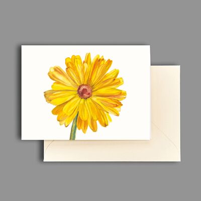 Cartolina d'auguri di campo di calendula