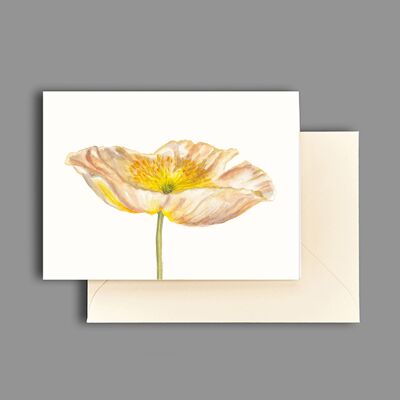 Greeting card Iceland poppy apricot