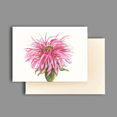 Greeting card Indian nettle
