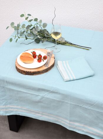 Nappe bleu coquille d'oeuf 2