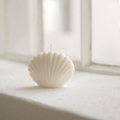 Shell - Nude