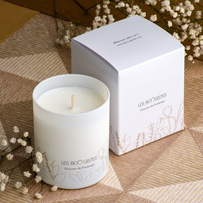 Softness of Spring Candle Poppy
