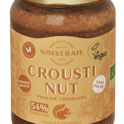 CROUSTINUT 300G Nocciola Pralinata 54%