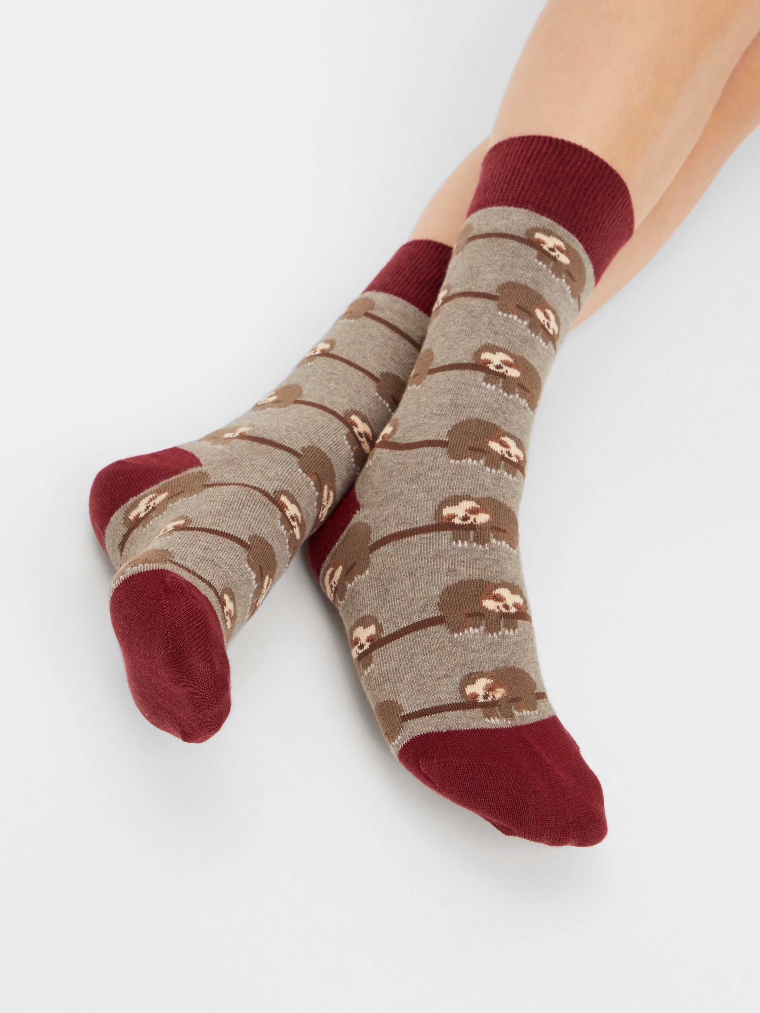 Organic Sloth Socks - Colorful socks with a sloth pattern, sloth